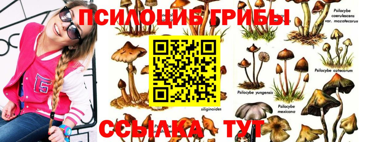 Набережные Челны  Псилоцибиновые грибы Magic Shrooms  Псилоцибиновые грибы Psilocybine cubensis  Вход с VPN 